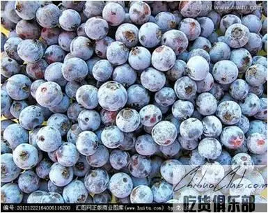 鄂伦春蓝莓