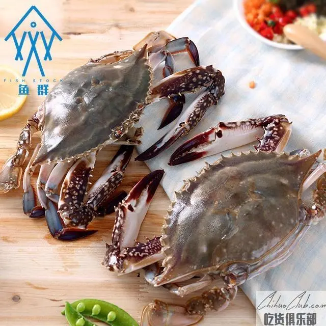 赣榆梭子蟹