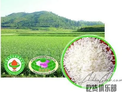 Helong Tribute Rice