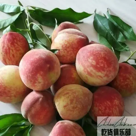 衡山红脆桃