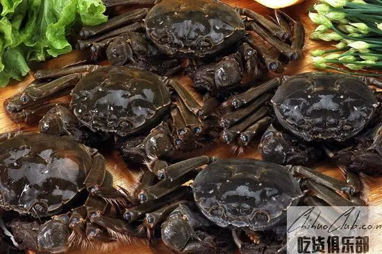 Honghu Hairy Crab