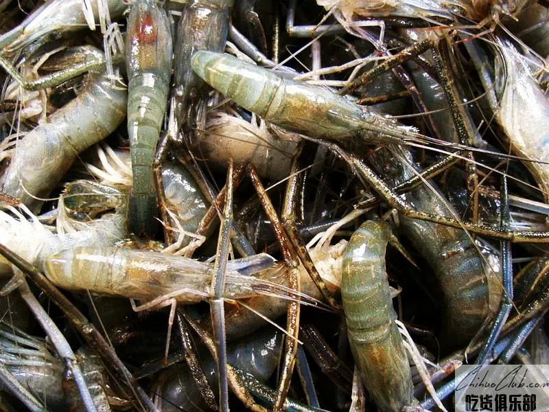 Huangmei shrimp