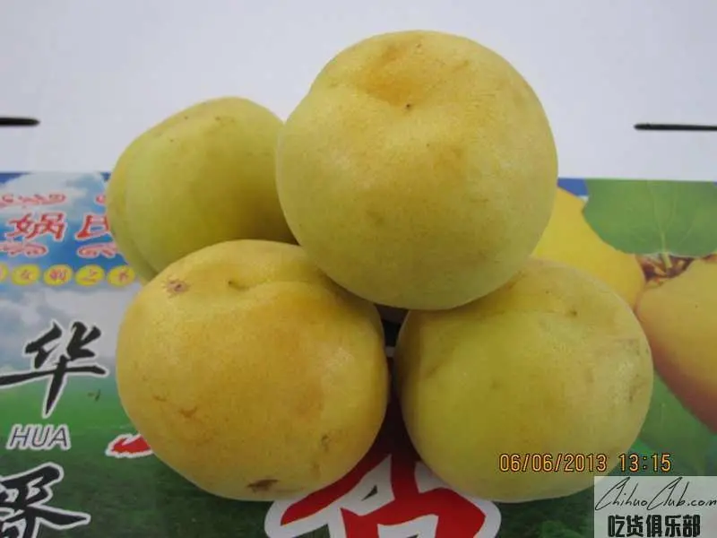 Huaying Grand Ginkgo (Huawei Daxing)