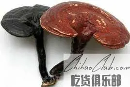 Huoshan glossy ganoderma