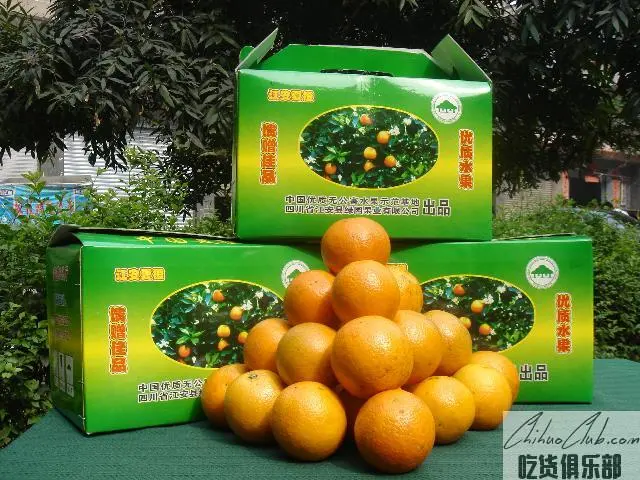 江安夏橙