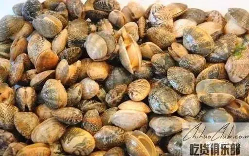 Jiaru Clam