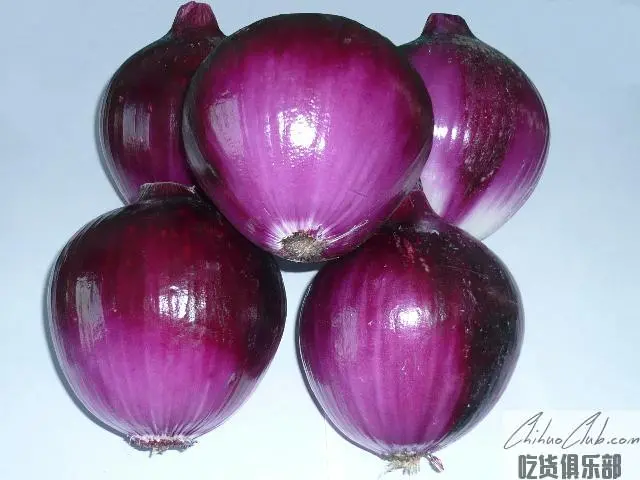 嘉峪关洋葱