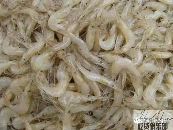 锦州毛虾