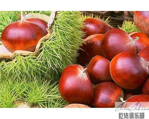 Longlin chestnut
