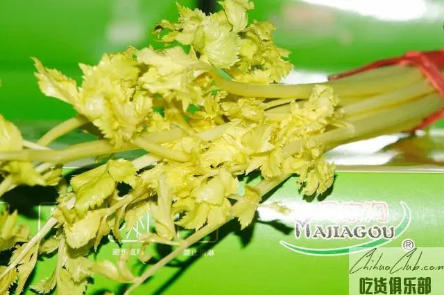 Majiagou celery