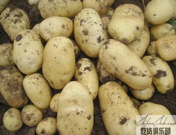 Nehe Potato