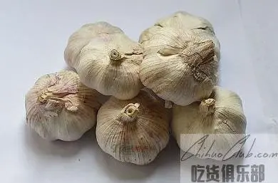 pizhou white garlic