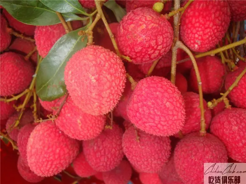 Putian Litchi