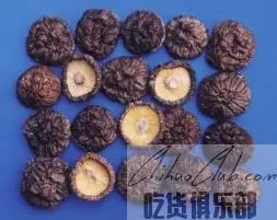 Qingyuan Mushroom