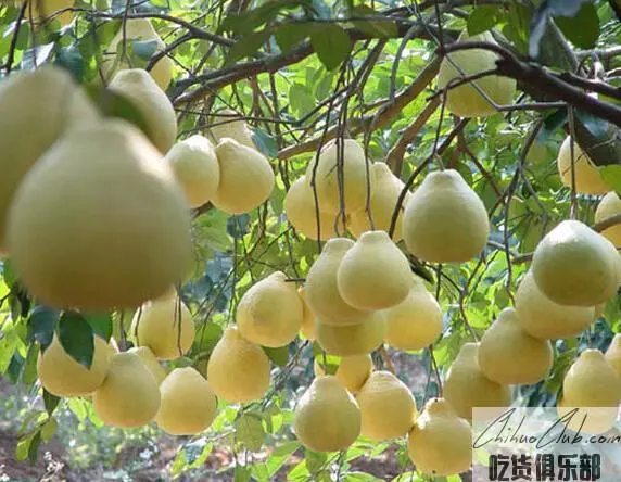 Rongshui glutinous Rice Pomelo