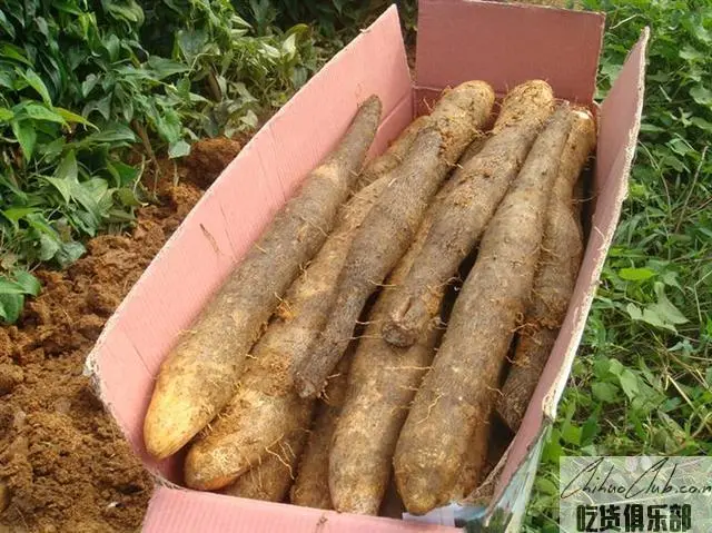 Sanzhen Yam