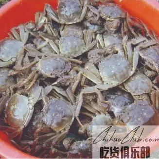 沙洋长湖河蟹