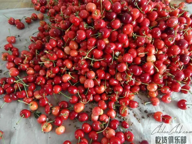 双堠樱桃