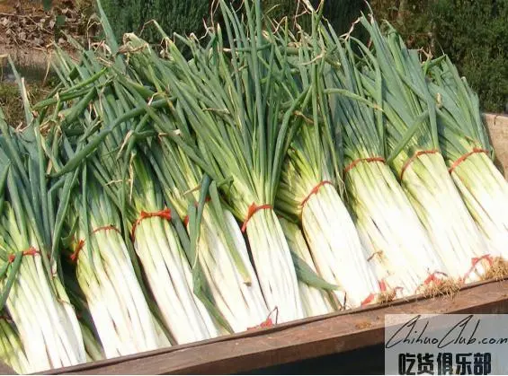 寺郎腰大葱