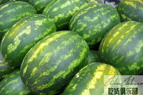 Taitou watermelon