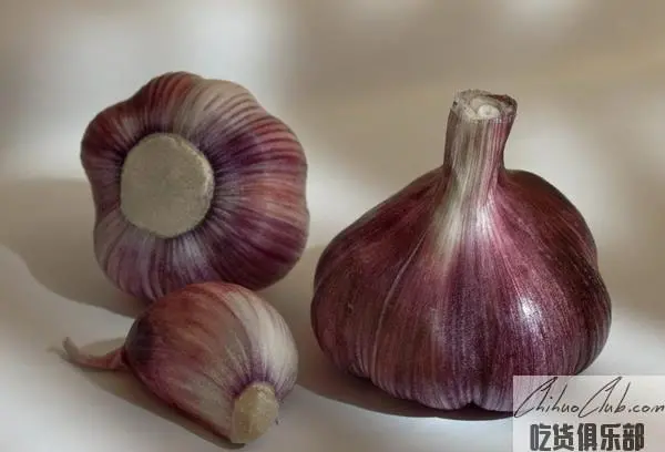 Tianjia purple Leather garlic