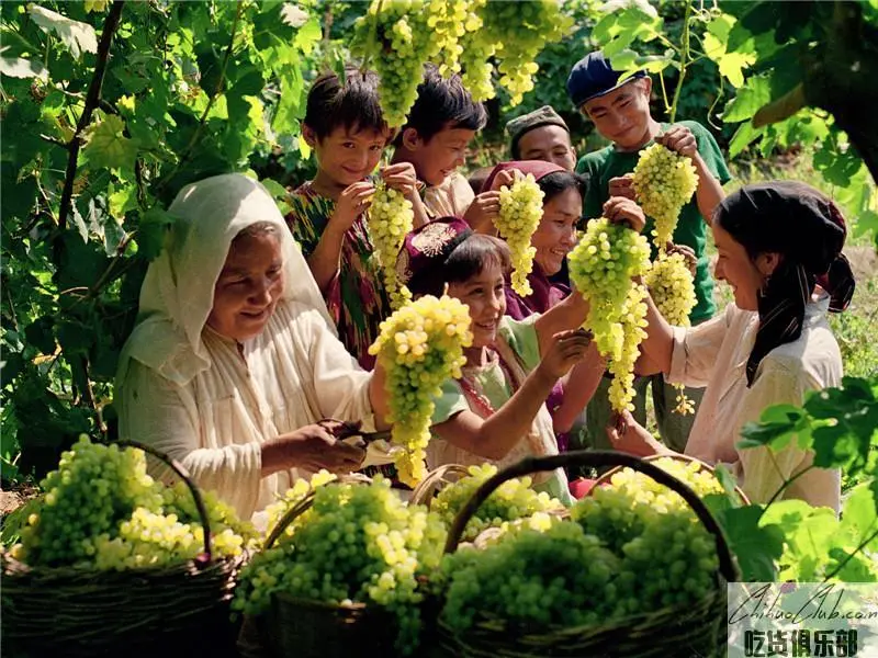 Turpan grapes