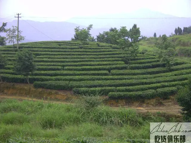 万源富硒茶