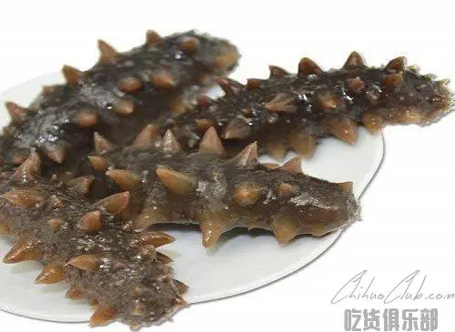 Weihai sea cucumber