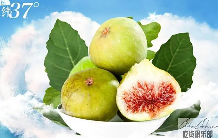 Weihai Fig