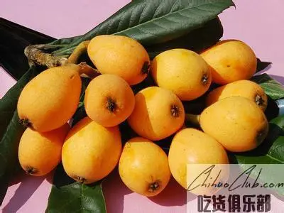 Wen Gong Loquat