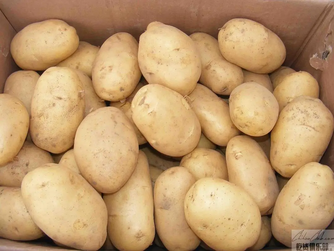Wuchuan Potato