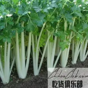 兴义白杆青菜