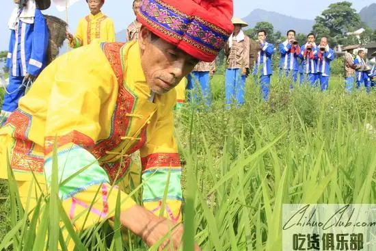 新晃侗藏红米