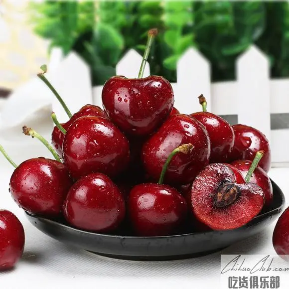 Yantai big Cherry