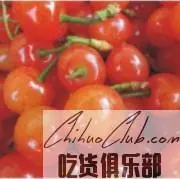 张湾汉江樱桃