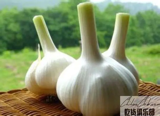 Zhongmou white garlic