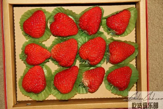 庄河草莓