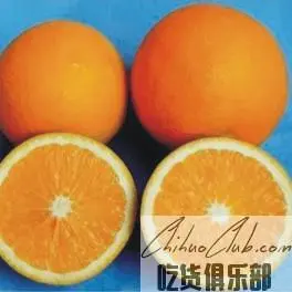 秭归夏橙